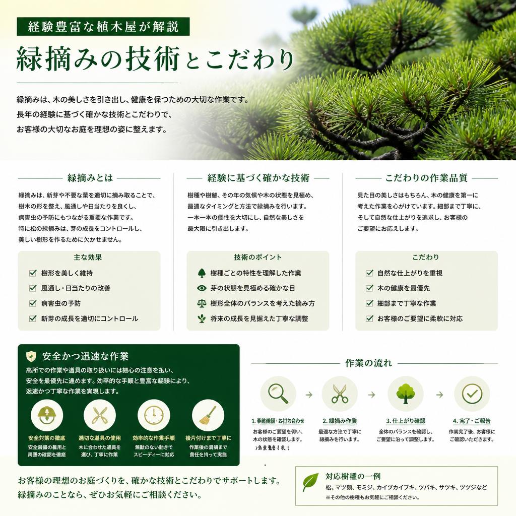 専門家による丁寧な作業
