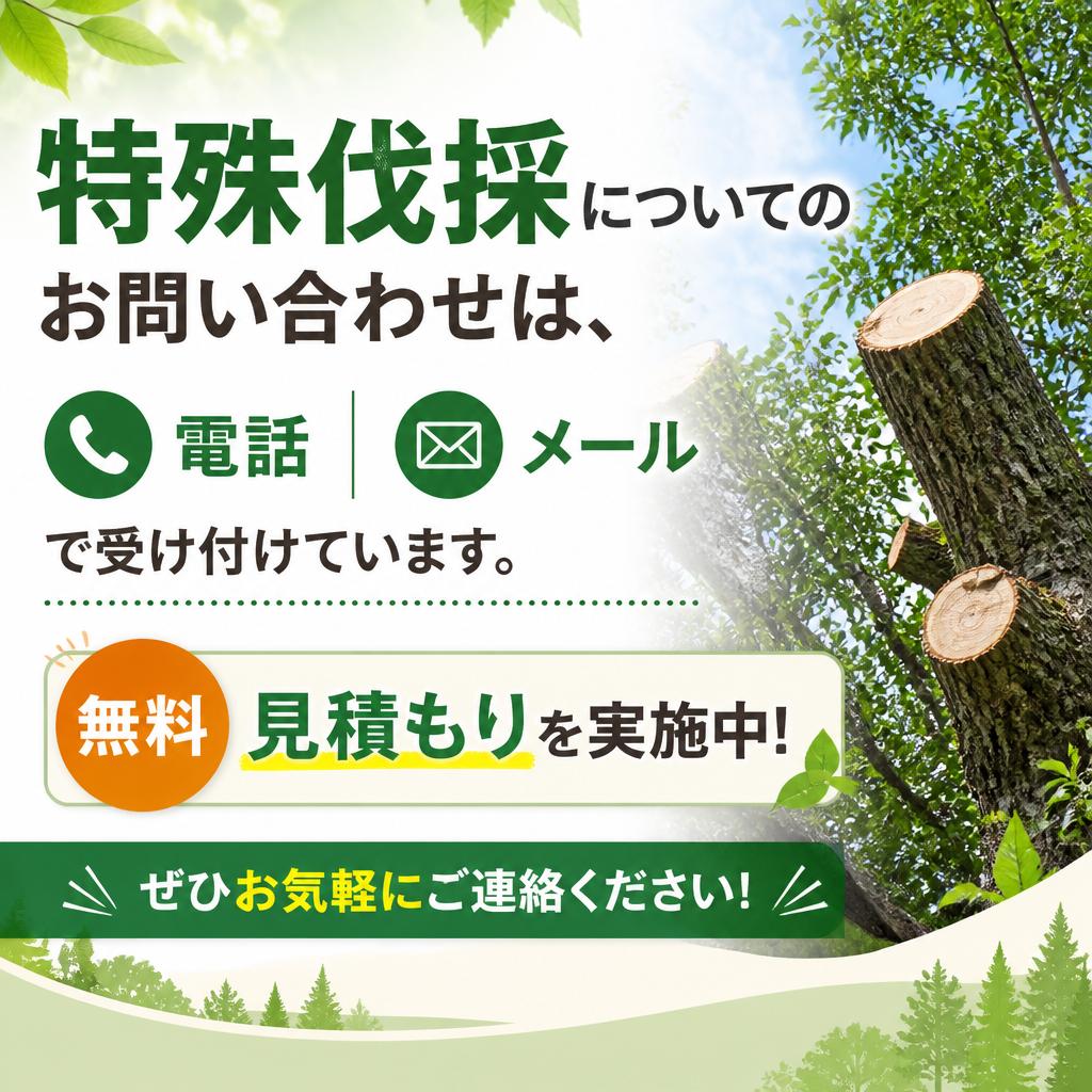 今すぐお問い合せを！