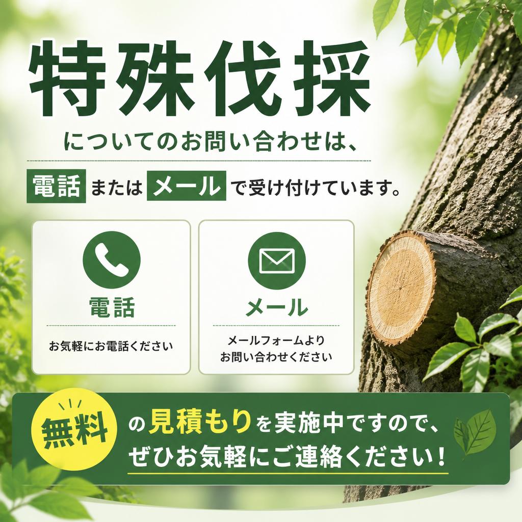 今すぐお問い合せを！
